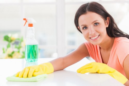 Professional deep cleaning team in action