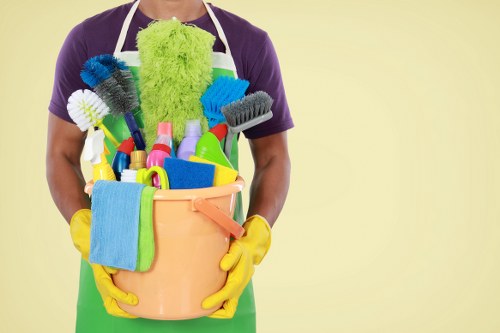 Detailed bathroom deep cleaning by professionals