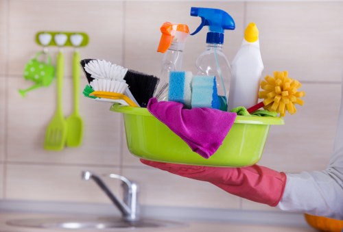 Professional carpet cleaning service by Leah Cleaning Maids