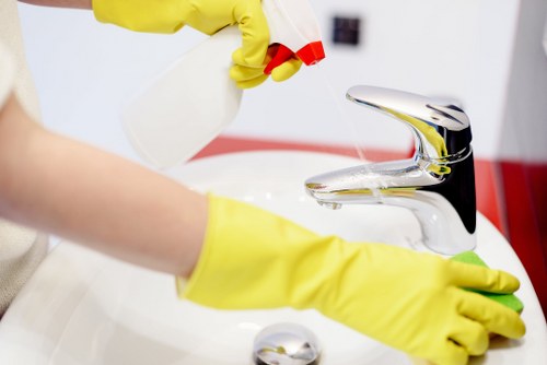 Eco-friendly cleaning solutions in action