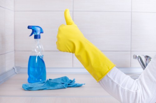 Satisfied customer enjoying a clean home