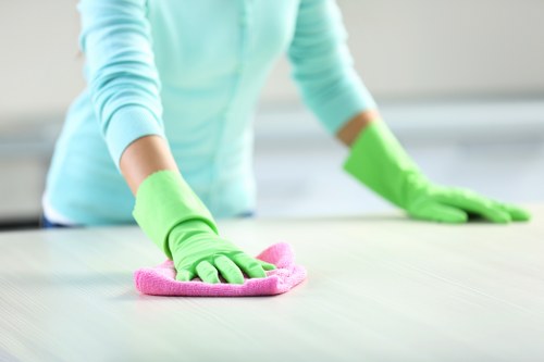 Advanced cleaning equipment used by Leah Cleaning Maids