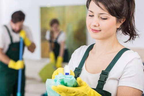 Leah Cleaning Maids team performing facade cleaning