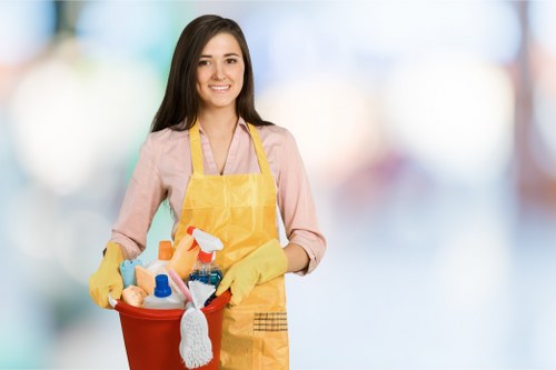 Professional cleaning services by Leah Cleaning Maids