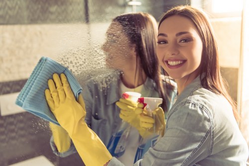 Eco-friendly window cleaning supplies