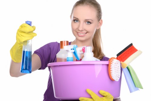 Leah Cleaning Maids team cleaning a sofa