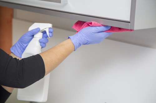 Professional cleaner working on oven